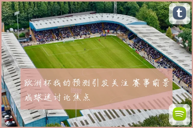 欧洲杯我的预测引发关注 赛事前景成球迷讨论焦点