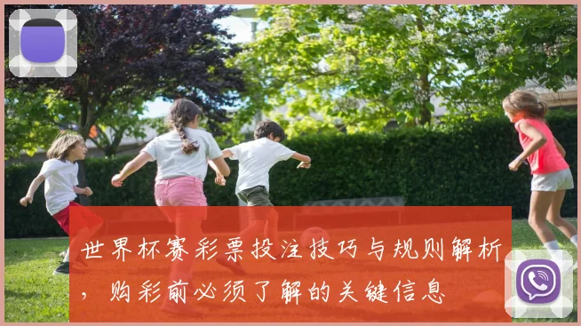 世界杯赛彩票投注技巧与规则解析，购彩前必须了解的关键信息